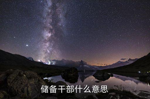 溫州金龍機電儲備干部什么意思，儲備干部什么意思