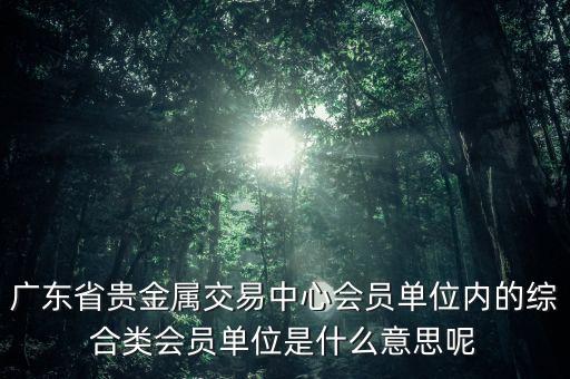 廣東省貴金屬交易中心會員單位內(nèi)的綜合類會員單位是什么意思呢