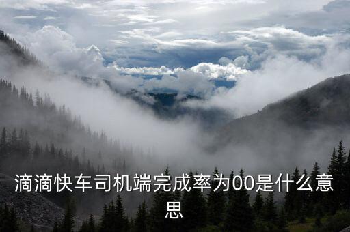 滴滴快車(chē)完成率是什么意思，滴滴快車(chē)成交率百分之零啥意思
