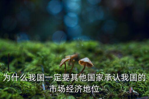中國經(jīng)濟(jì)地位為什么重要，國有經(jīng)濟(jì)的地位和作用是怎樣的