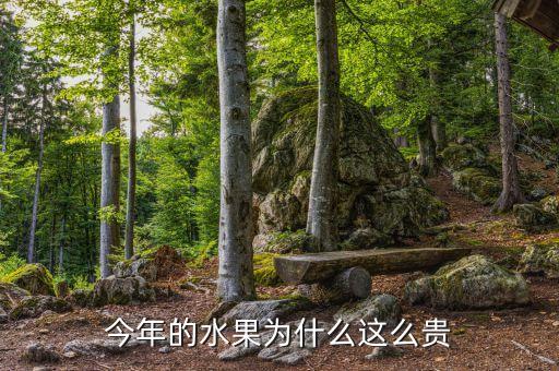 今年的水果為什么這么貴