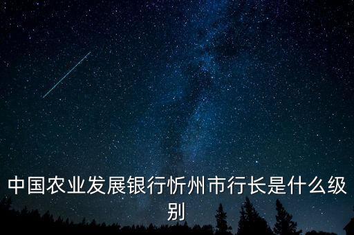 中國農(nóng)業(yè)發(fā)展銀行忻州市行長是什么級別