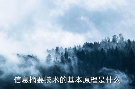什么是電子摘要技術，加密技術和什么是電子商務和電子政務安全常用的技術