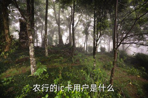 農(nóng)行ic卡是什么，農(nóng)行的ic卡用戶是什么