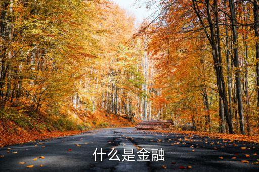 什么是金融