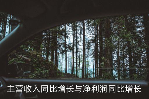 主營收入同比增長與凈利潤同比增長