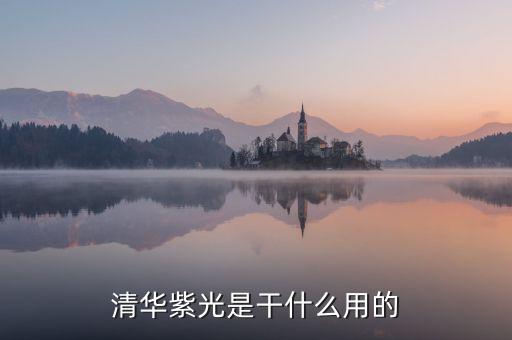 紫光春華是經(jīng)營什么，紫光是什么公司的產(chǎn)品