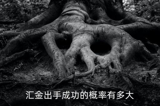 匯金什么時(shí)候增持，匯金出手成功的概率有多大