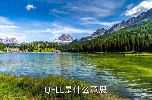 qdlp是什么意思，QQpI是什么意思