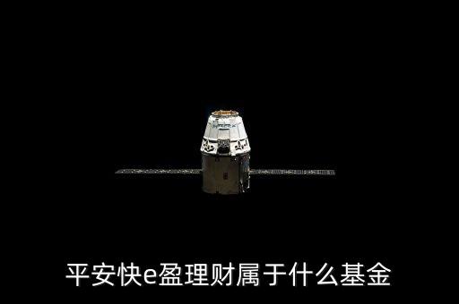 519173是什么基金，我發(fā)現(xiàn)基金有各種代碼有125等開頭的每種開頭都是什么含義