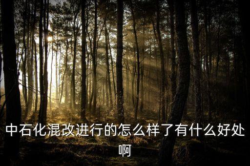 中石化為什么要改革，國家為什么對天然氣價格進行改革