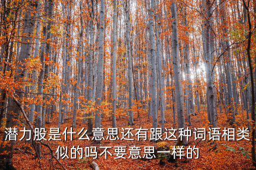 潛力股是什么意思還有跟這種詞語相類似的嗎不要意思一樣的