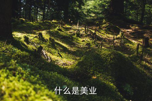 美業(yè)集團(tuán)是什么行業(yè)，什么是美業(yè)