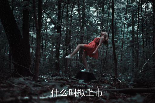 什么叫擬上市，什么是擬上市
