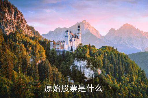 什么叫原始股票，原始股是什么