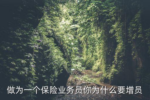 保險為什么要增員，做為一個保險業(yè)務員你為什么要增員