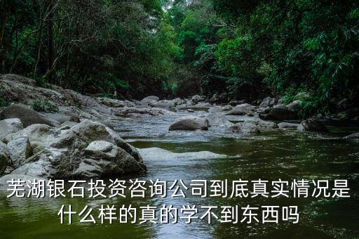 伯威控股是什么，威凌控股公司是做什么的