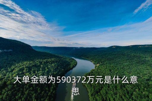 大單金額是什么意思，大單金額為590372萬(wàn)元是什么意思