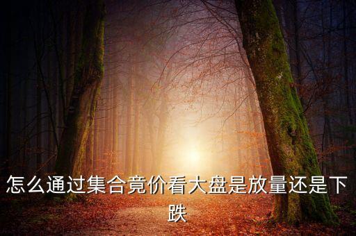 怎么通過集合竟價(jià)看大盤是放量還是下跌