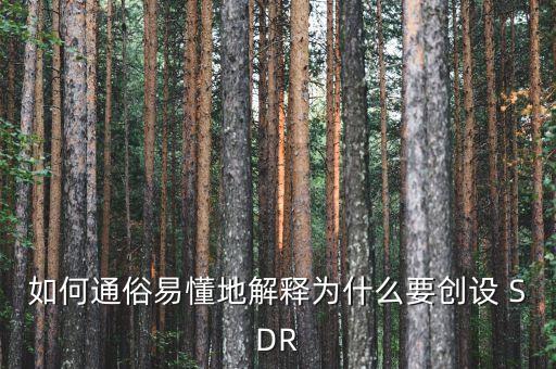 如何通俗易懂地解釋為什么要?jiǎng)?chuàng)設(shè) SDR