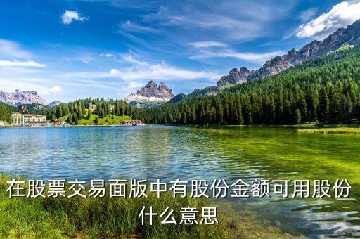 可用股票是什么意思，在股票交易面版中有股份金額可用股份什么意思
