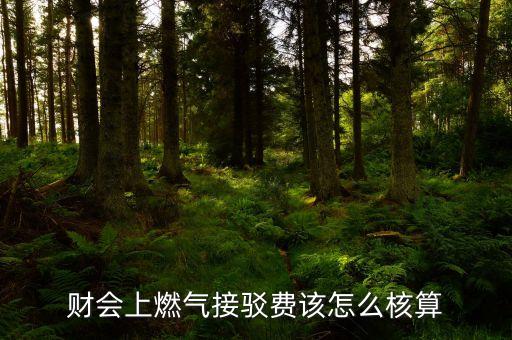 燃?xì)饨玉g是什么，天然氣接駁氣量指標(biāo)指的是什么