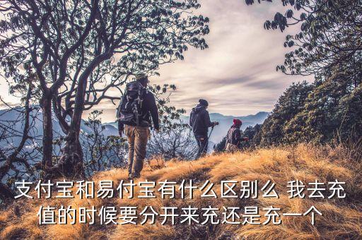 易付寶跟支付寶什么區(qū)別，易付寶和支付寶有什么不一樣