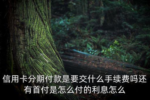 信用卡分期付款是要交什么手續(xù)費(fèi)嗎還有首付是怎么付的利息怎么