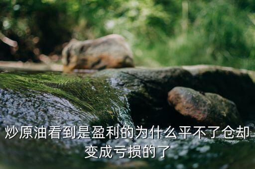 炒原油看到是盈利的為什么平不了倉(cāng)卻變成虧損的了