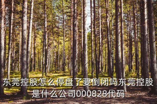 東莞控股為什么停牌，東莞控股怎么停盤了要倒閉嗎東莞控股是什么公司000828代碼