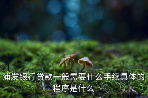 浦發(fā)銀行網(wǎng)貸通要什么條件，TB支持浦發(fā)  浦發(fā)開(kāi)通網(wǎng)銀要什么條件比如要帶點(diǎn)什么的