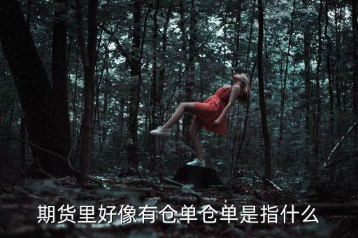 倉(cāng)單上面包括什么內(nèi)容，倉(cāng)單是什么