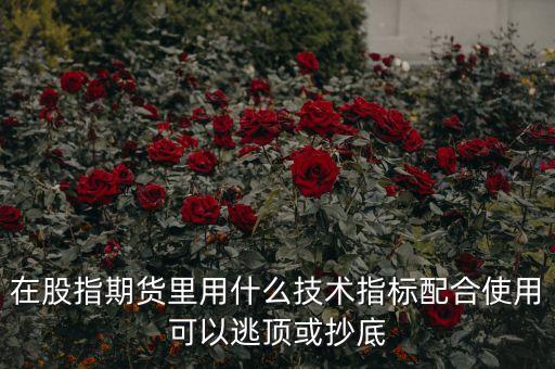 股指期貨什么指標(biāo)好用，做股指期貨那個(gè)指標(biāo)最好