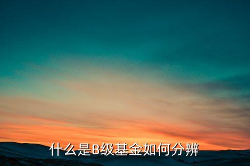 b類基金是什么意思，什么是b類基金