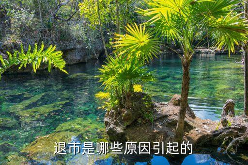 弘成教育為什么退市，至今為止上市公司還沒有一個真正破產(chǎn)清算的吧退市和重整的不算