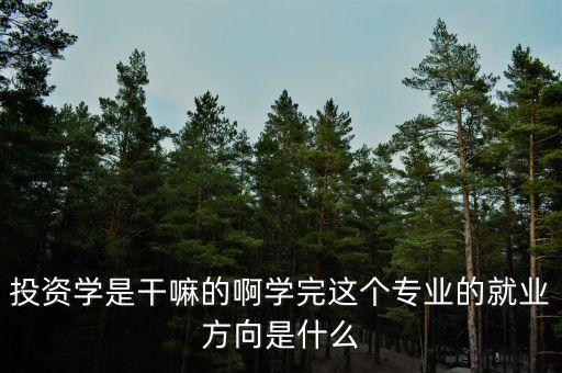 什么是投資學(xué)，上海財(cái)經(jīng)大學(xué) 公共經(jīng)濟(jì)與管理學(xué)院的 投資學(xué) 學(xué)的是什么