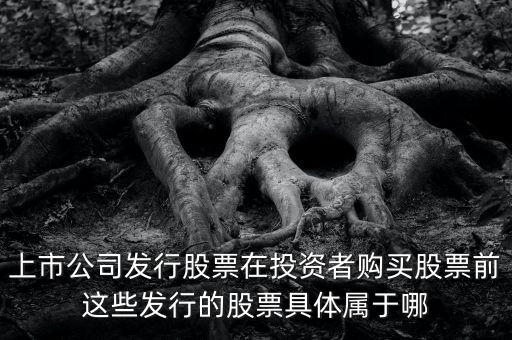 非流通股面向什么人，什么是A股B股和H股