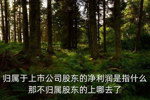 歸屬于上市公司股東的凈利潤(rùn)是指什么那不歸屬股東的上哪去了