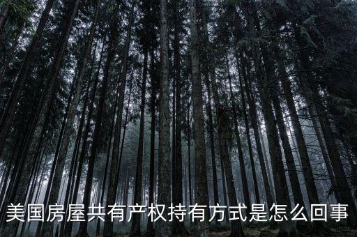 什么是共有產(chǎn)權(quán)產(chǎn)權(quán)模式，美國(guó)房屋共有產(chǎn)權(quán)持有方式是怎么回事