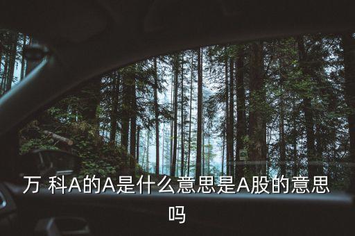 萬得全a什么意思，萬花筒A是什么意思