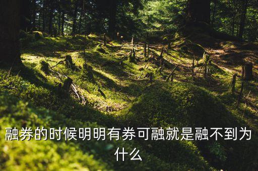 融券的時(shí)候明明有券可融就是融不到為什么