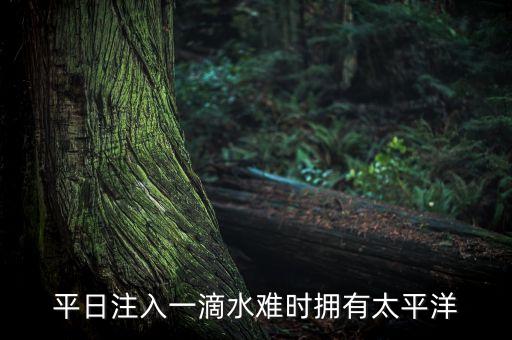 泰利森什么時候注入天齊鋰業(yè)，敵意收購有哪些經(jīng)典案例過程和結(jié)果是怎樣的