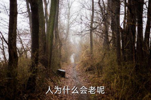 美元為什么在變質(zhì)，為什么人民幣越來越變質(zhì)了呢
