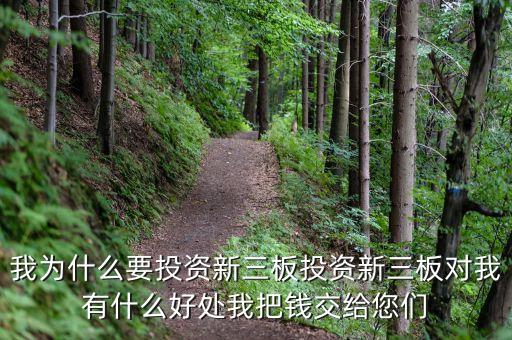 為什么投資新三板，我為什么要投資新三板投資新三板對我有什么好處我把錢交給您們