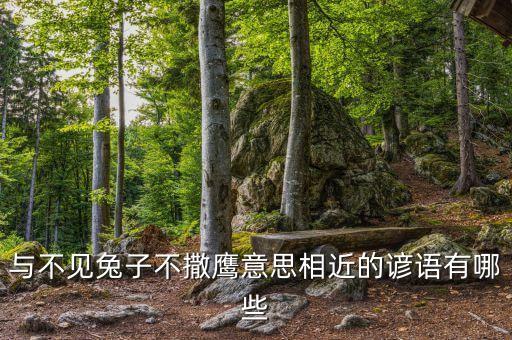 與不見兔子不撒鷹意思相近的諺語有哪些