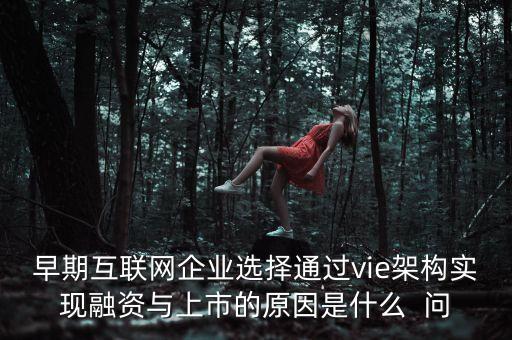 早期互聯(lián)網(wǎng)企業(yè)選擇通過vie架構(gòu)實(shí)現(xiàn)融資與上市的原因是什么  問