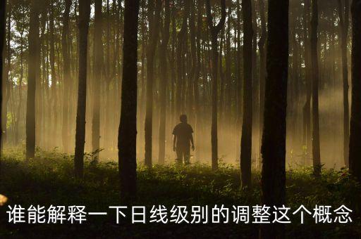 誰能解釋一下日線級別的調整這個概念