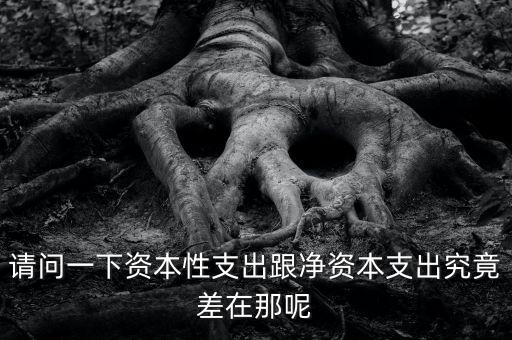 資本支出是什么，資本支出與費用的區(qū)別