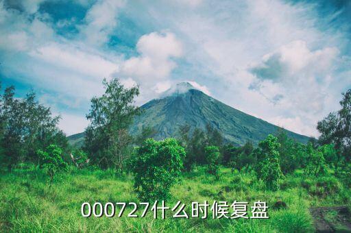 諾普信什么時(shí)候復(fù)盤，000727什么時(shí)候復(fù)盤