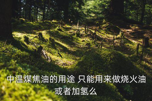 煤制油與煤焦油加氫有什么區(qū)別，焦油加氫改質(zhì) 加氫裂解有什么區(qū)別